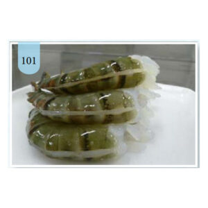 Black Tiger Raw HLSOEZ - 101