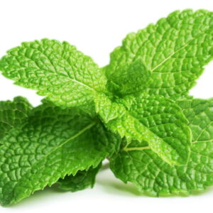 Feuille de Menthe 100g