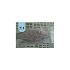 BLACK TILAPIA (WHOLE CLEAN) - 211 - 1kg