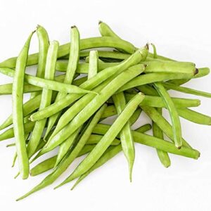 GAWAR / CLUSTER BEANS