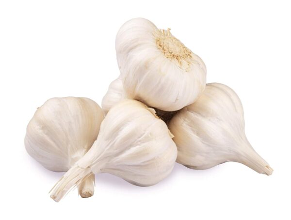 FRESH GARLIC