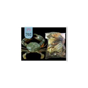MADAGASCAR CUT MANGROVE CRAB - 702 - 1kg