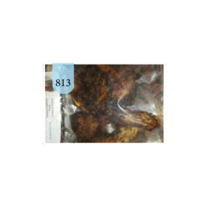 POISSON CAPITAINE - 813 - 1kg