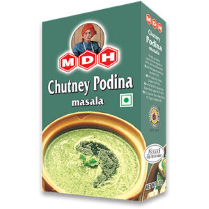 MDH CHUTNEY PUDINA 100G