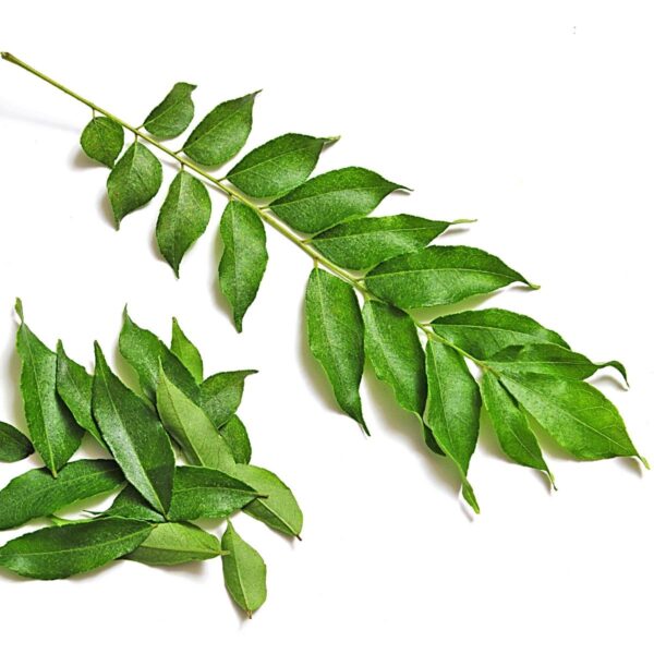 CURRY LEAVES 40g