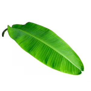 BANANA LEAVES Each Piece