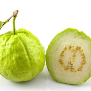 GUAVA