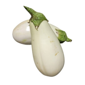 Aubergine Blanche