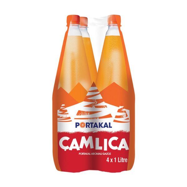 Çamlıca Gazoz Portakal