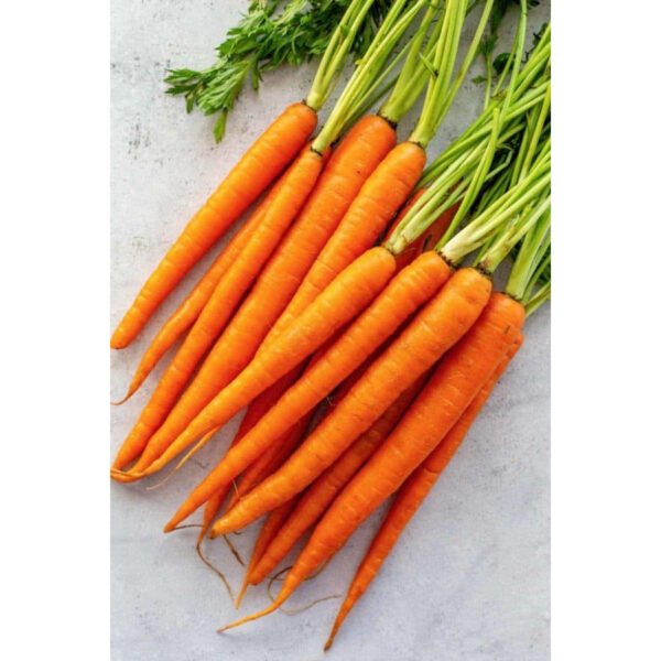 CARROTS PACKET 1Kg