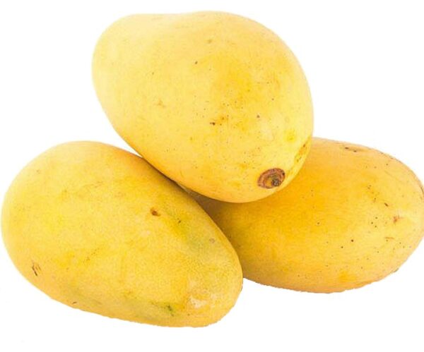 PAKISTANI MANGOS
