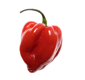 Piment Antillais
