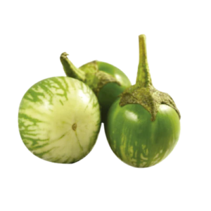 Thai Eggplant/ Aubergine Green