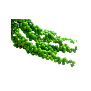 Fresh Peppercorn 100g